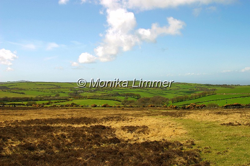 6861_wiesenhuegel blauer himmel.jpg